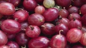 Пудинг с крыжовником