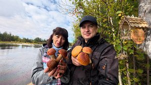 ГРИБНОЙ БУМ! СОБИРАЕМ БОРОВИКИ ВДВОЁМ В ЛЕСУ 🌲