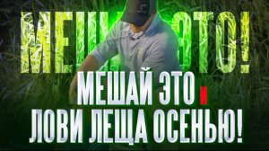 Мешай ЭТО и поймаешь ЛЕЩА! Какой должна быть прикормка для рыбалки на фидер осенью?