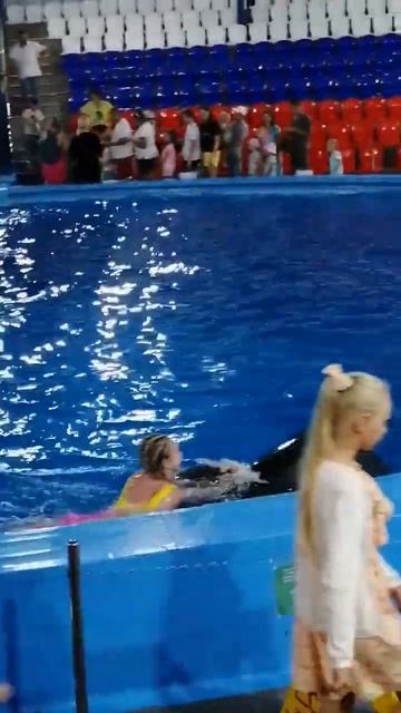 Плавать с дельфинов. смотреть онлайн