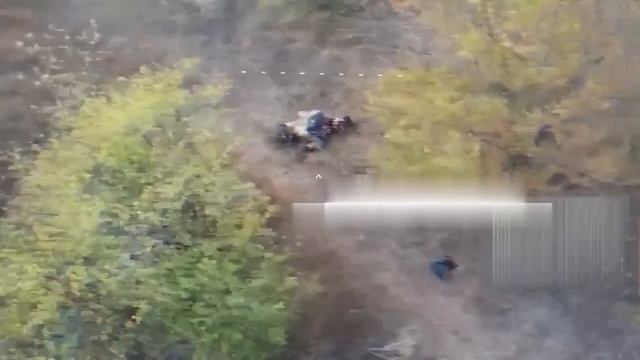 Дрон пресек изнасилование