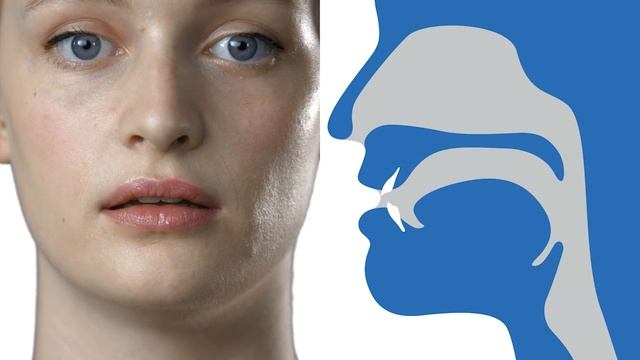 English File 5th Elementary 5B Pronunciation