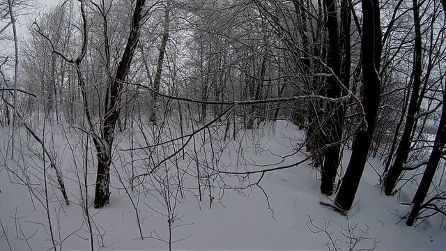 Охота Эстонская гончая заяц 4 смотреть онлайн