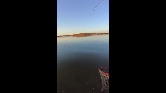 Личный рекорд по судаку. Спасатели Малибу.