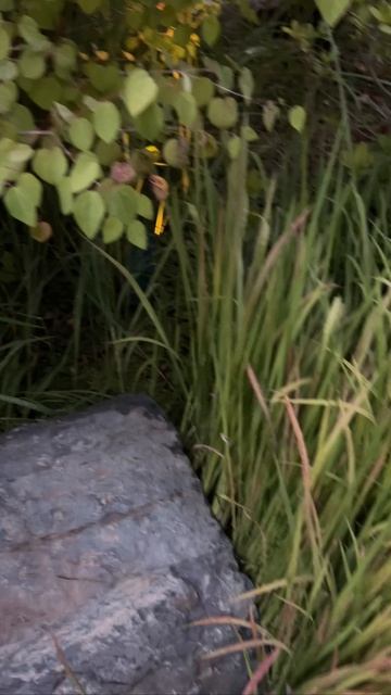 18 Оригинальное освещение в Японском саду