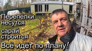 Одним Днем