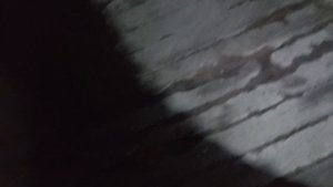 ночёвка в таёжной избушке. ночные гости.