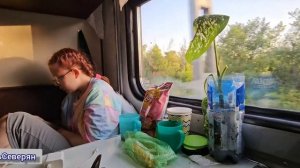 Путешествие на юг Поезд Санкт-Петербург Евпатория Плацкарт. Лето 2025. ЖизньСеверян.