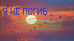 Я не погиб Шевцов