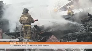 Сушь и холод в Мордовии - горят леса и дома