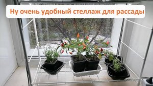Стеллаж для рассады. Критерии выбора.