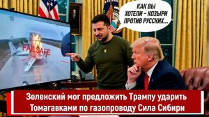 Зеленский мог предложить Трампу ударить Томагавками по газопроводу Сила Сибири