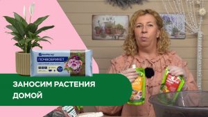 Заносим растения домой