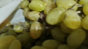 ✨Вафли в электро - Вафельнице✨Вязание ✨и не только 😉 ✨