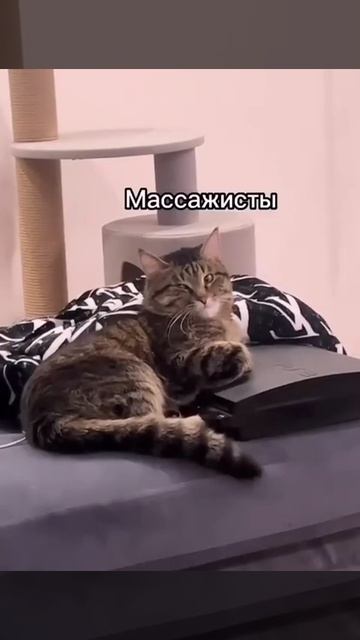 А чего добился ты?