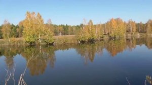 Осень