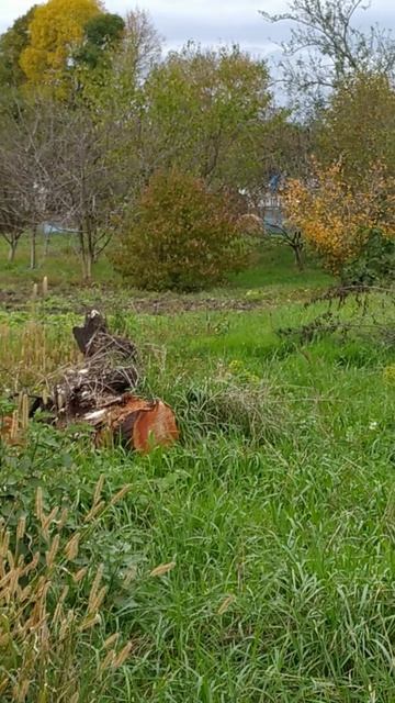 Кто бы мог подумать!