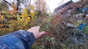 Зайцев парк, планы на зиму от Андрея Зайцева
