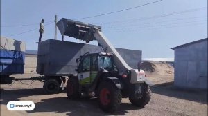 Красная чечевица в Саратовской области: грузим со склада