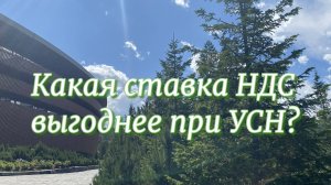 Какую ставку НДС применять при УСН?