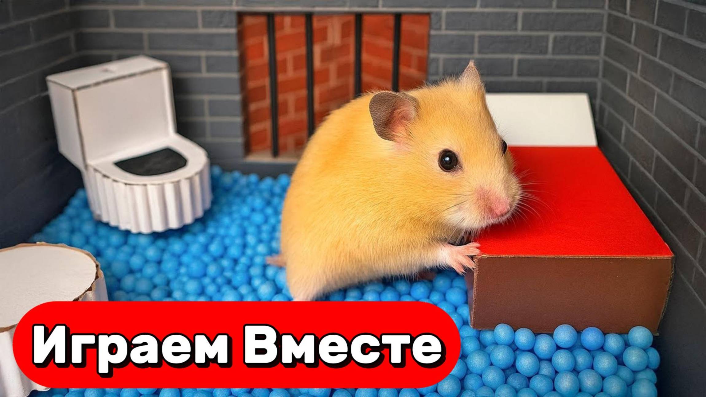 УМНЫЙ ХОМЯК СБЕГАЕТ ИЗ СЕКРЕТНОЙ ТЮРЬМЫ С ЛОВУШКАМИ 🐹 ВИДЕО ПРО ХОМЯКА ДЛЯ ДЕТЕЙ