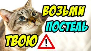 Возьми постель твою - Василий Савич. Христианские проповеди