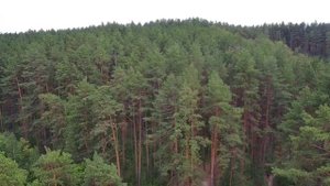 Тальков Камень (15.08.21г.)