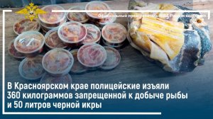 Красноярские полицейские изъяли 360 кг запрещенной к добыче рыбы и 50 литров черной икры