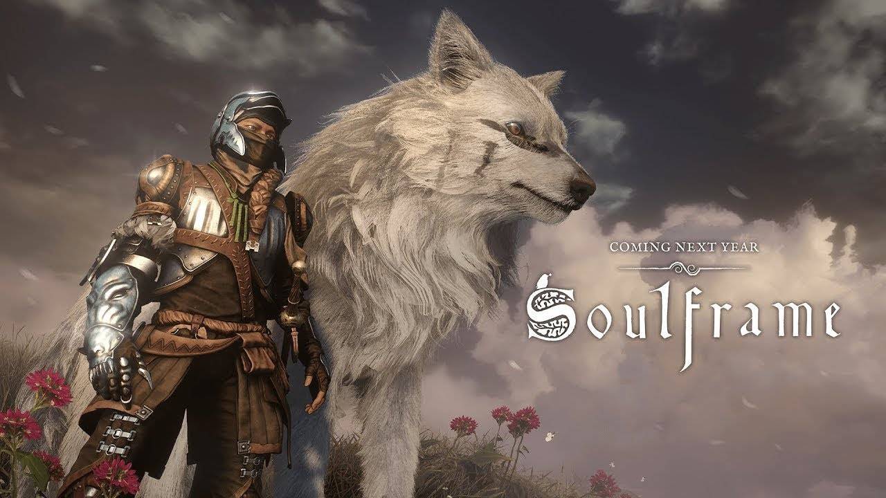 Обзор Soulframe Каркас души Алька SILVERWOLF sw_Loon_YT
