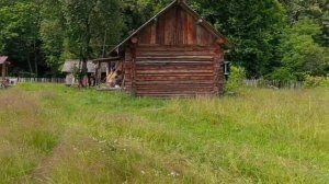 Пасека , с поилкой.