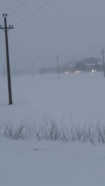 Метель #shorts смотреть онлайн