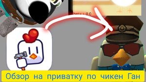 Обзор на приватку по чикен Гану
