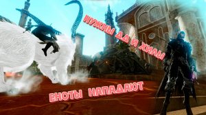 //ArcheAge - Pestilentia сервер ЛУЦИЙ (Енотики и Surprise MF vs Запад луция 13.10.25 )