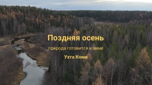 Поздняя осень 2025