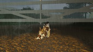 Как сделать Красивый скин в Котах Воителях роблокс? Отвечаю на часто задаваемый вопрос!(+ доп.)