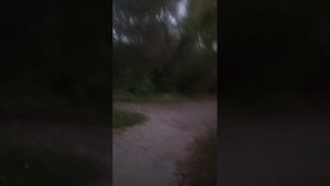 Прогулка где то