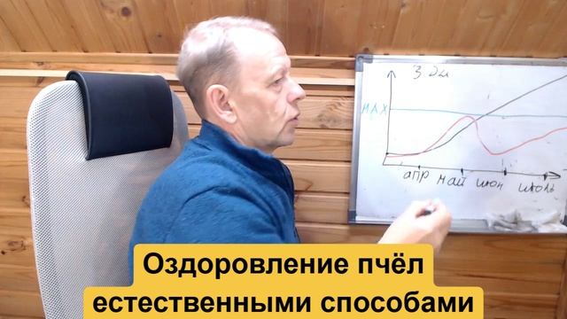 Оздоровления и лечения болезней пчёл биологическими, естественными способами, что для этого надо смотреть онлайн