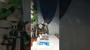 карта дня 🃏на 7.09.25.совет на день грядущий 🌞🔮от таро ангелов хранителей 🧚♀️