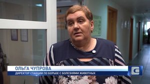 ПРОФИЛАКТИКА ГРИППА
