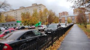 Иду по скверу обратно домой. Желтые листья, больше опавших, и сырость, просто осенняя тоска. (3)