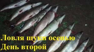 Ловля осенней щуки на джиг. Второй день