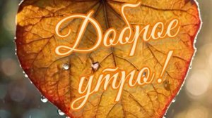 Открытка с добром утром - Пусть этот день будет наполнен лишь яркими эмоциями