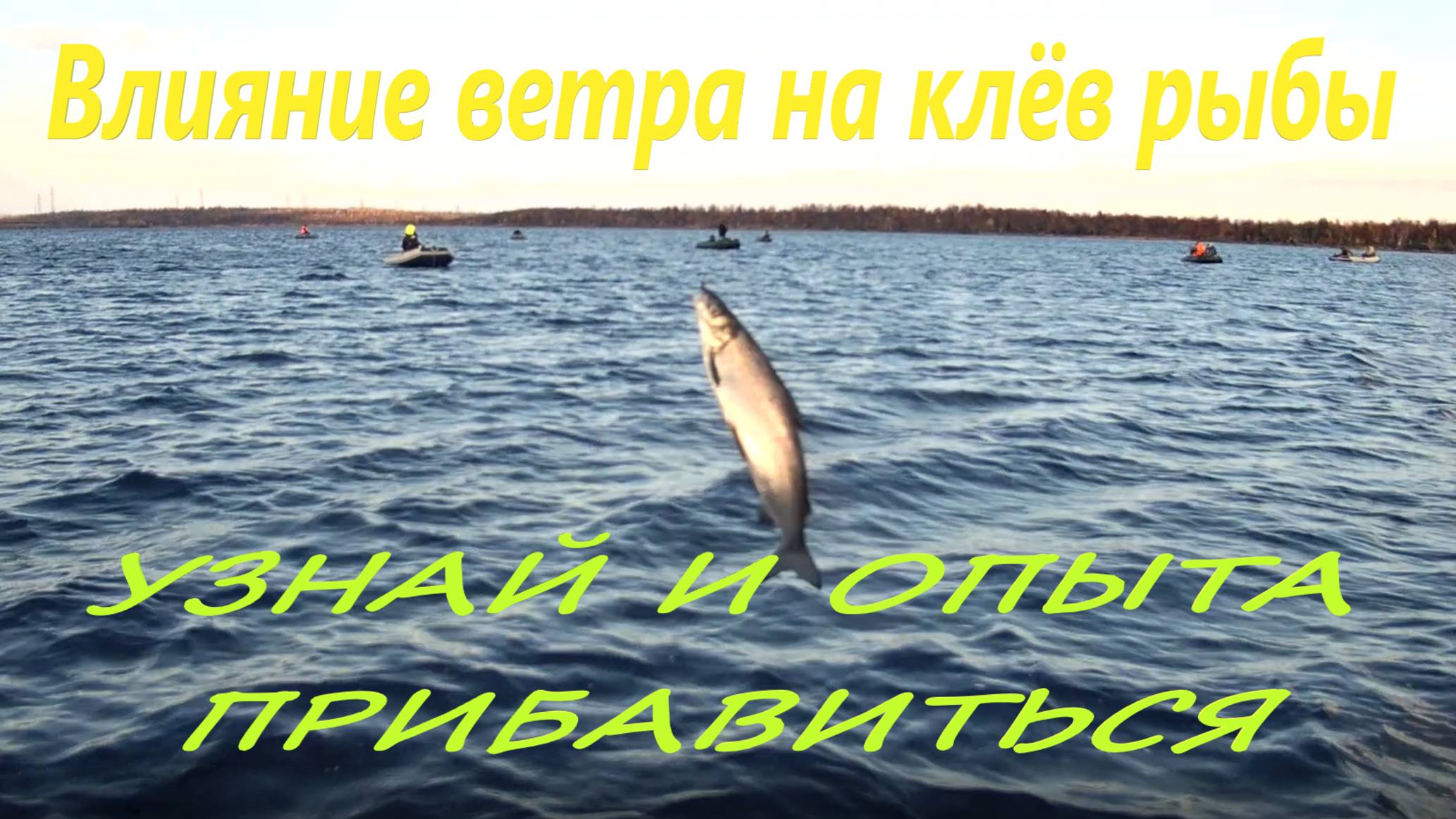 Влияние ветра на клёв рыбы 2.0