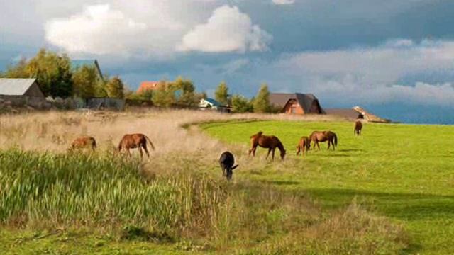 Деревня моя смотреть онлайн