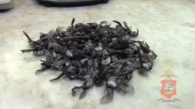 Ранее судимый наркодилер вновь задержан подмосковными полицейскими в Электростали смотреть онлайн