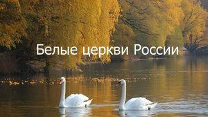 Белые церкви России