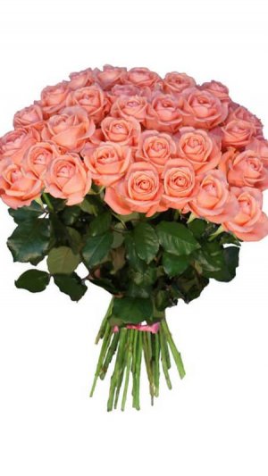 Добро пожаловать в юность советскую