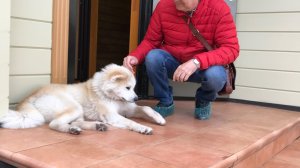 Джим/Вроде всё хорошо Альбом "Апрель'72" 1972  Авторский ремикс 2025