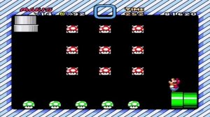 Super Mario World CES Public Demo (1989)
