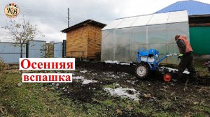 Выходные рабочии хлопоты // Вспашка огорода мотоблоком.